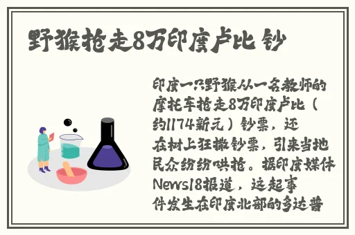 2d发琴乔巴对罗宾o到无力